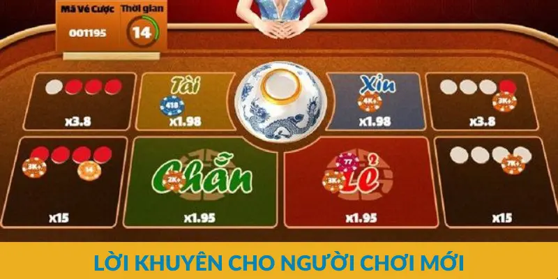 Lời khuyên cho người chơi mới