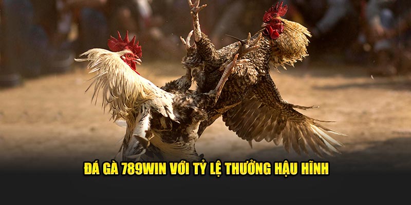 Đá gà 789WIN với tỷ lệ thưởng hậu hĩnh