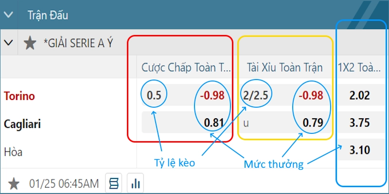 tỷ lệ kèo bóng đá là gì